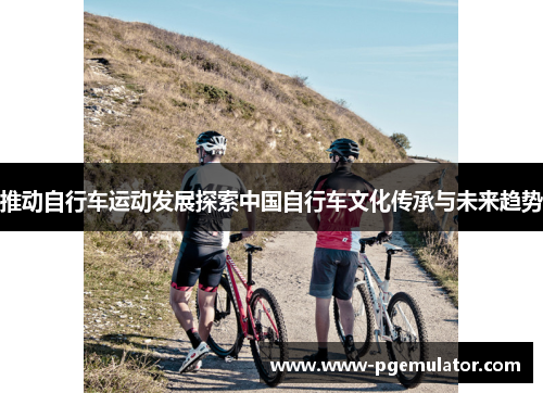 推动自行车运动发展探索中国自行车文化传承与未来趋势